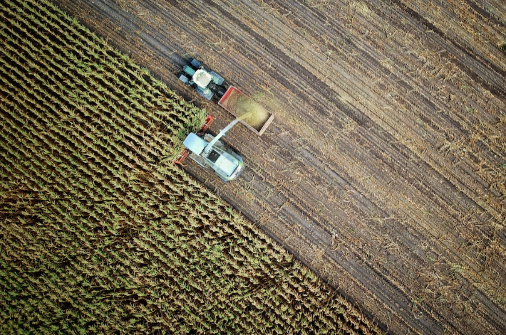Fot van boven van weiland dat wordt gemaaid